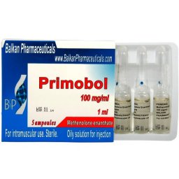 Primobol Image