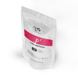 T3 Image