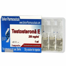 Testosterone E Image