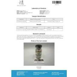 Cypionat 250 mg - Testosterone Cypionate by Dragon Pharma, Europe