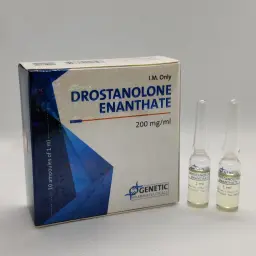 Drostanolone Enanthate - Drostanolone Enanthate by Genetic Pharmaceuticals