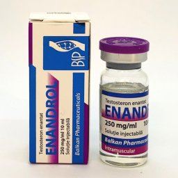 Enandrol 10 mL - Testosterone Enanthate by Balkan Pharmaceuticals