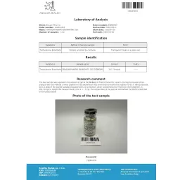 Enantat 250 mg - Testosterone Enanthate by Dragon Pharma, Europe