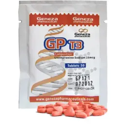 GP T3 -  by