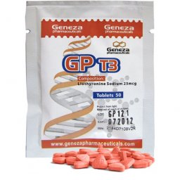 GP T3 -  by 