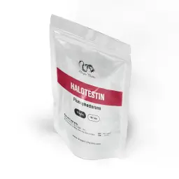 Halotestin - Fluoxymesterone by Dragon Pharma, Europe Halotestin - Fluoxymesterone by Dragon Pharma, Europe