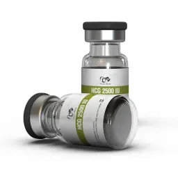 HCG 2500 IU - Human Chorionic Gonadotropin by Dragon Pharma, Europe