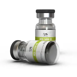 HCG 5000 IU - Human Chorionic Gonadotropin by Dragon Pharma, Europe