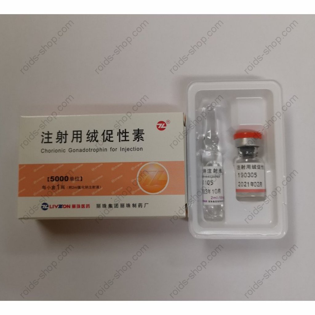 HCG 5000 IU - Human Chorionic Gonadotropin by Livzon Pharmaceutical Group Inc. HCG 5000 IU - Human Chorionic Gonadotropin by Livzon Pharmaceutical Group Inc.