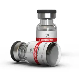 L-Carnitine 500 mg - L-Carnitine by Dragon Pharma, Europe L-Carnitine 500 mg - L-Carnitine by Dragon Pharma, Europe