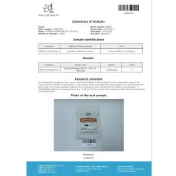 Methyl-1-Test 10 mg - Methyl-1-Testosterone by Dragon Pharma, Europe