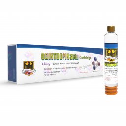 Odintropin 36 IU Cartidge - Somatropin by Odin Pharma