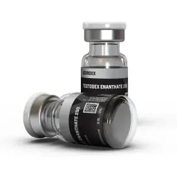 Testodex Enanthate - Testosterone Enanthate by Sciroxx