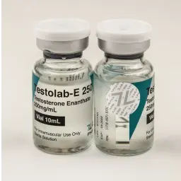 Testolab-E 250 - Testosterone Enanthate by 7Lab Pharma, Switzerland