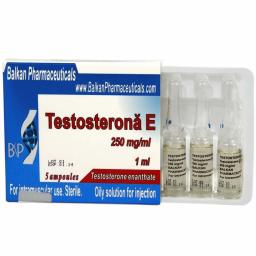 Testosterone E - Testosterone Enanthate - Balkan Pharmaceuticals