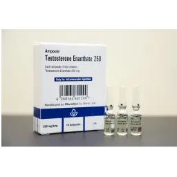 Testosterone Enanthate 250 mg - Testosterone Enanthate by Aburaihan, Iran