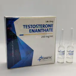 Testosterone Enanthate - Testosterone Enanthate by Genetic Pharmaceuticals