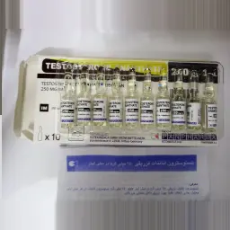 Testosterone Enanthate - Testosterone Enanthate by PanPharma