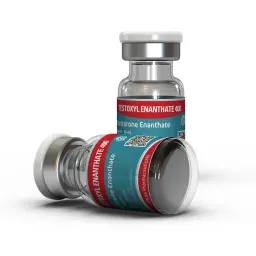 Testoxyl Enanthate 400 mg - Testosterone Enanthate by Kalpa Pharmaceuticals LTD, India