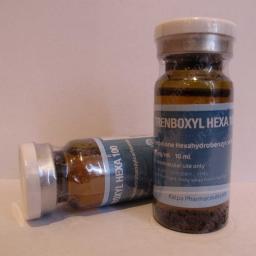 Trenboxyl Hexa - Trenbolone Hexahydrobenzylcarbonate - Kalpa Pharmaceuticals LTD, India